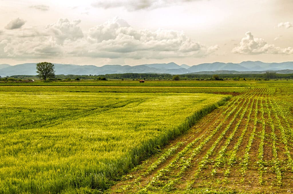 Farm field